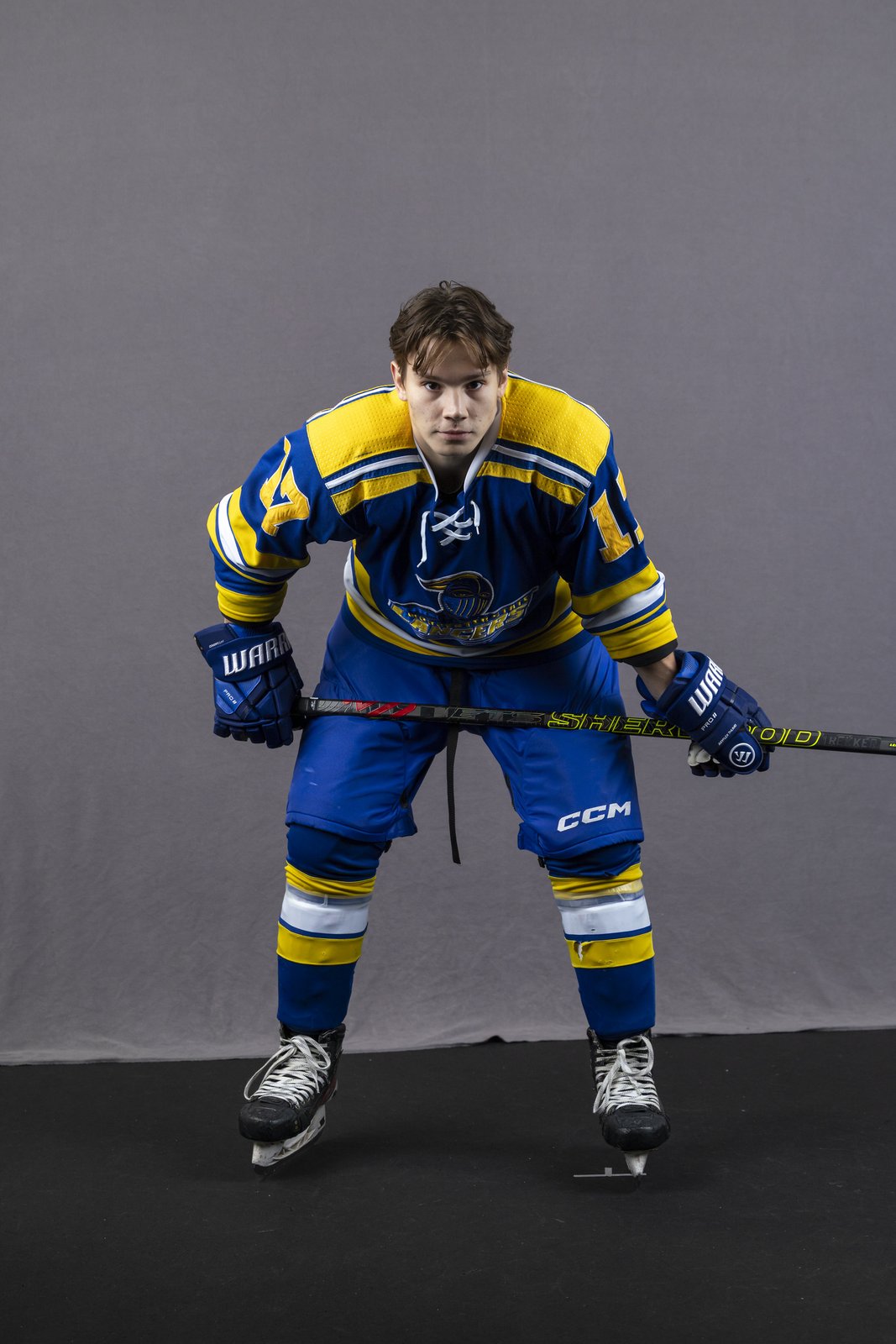 Nathan McDougall, forward, Worcester State University Lancers